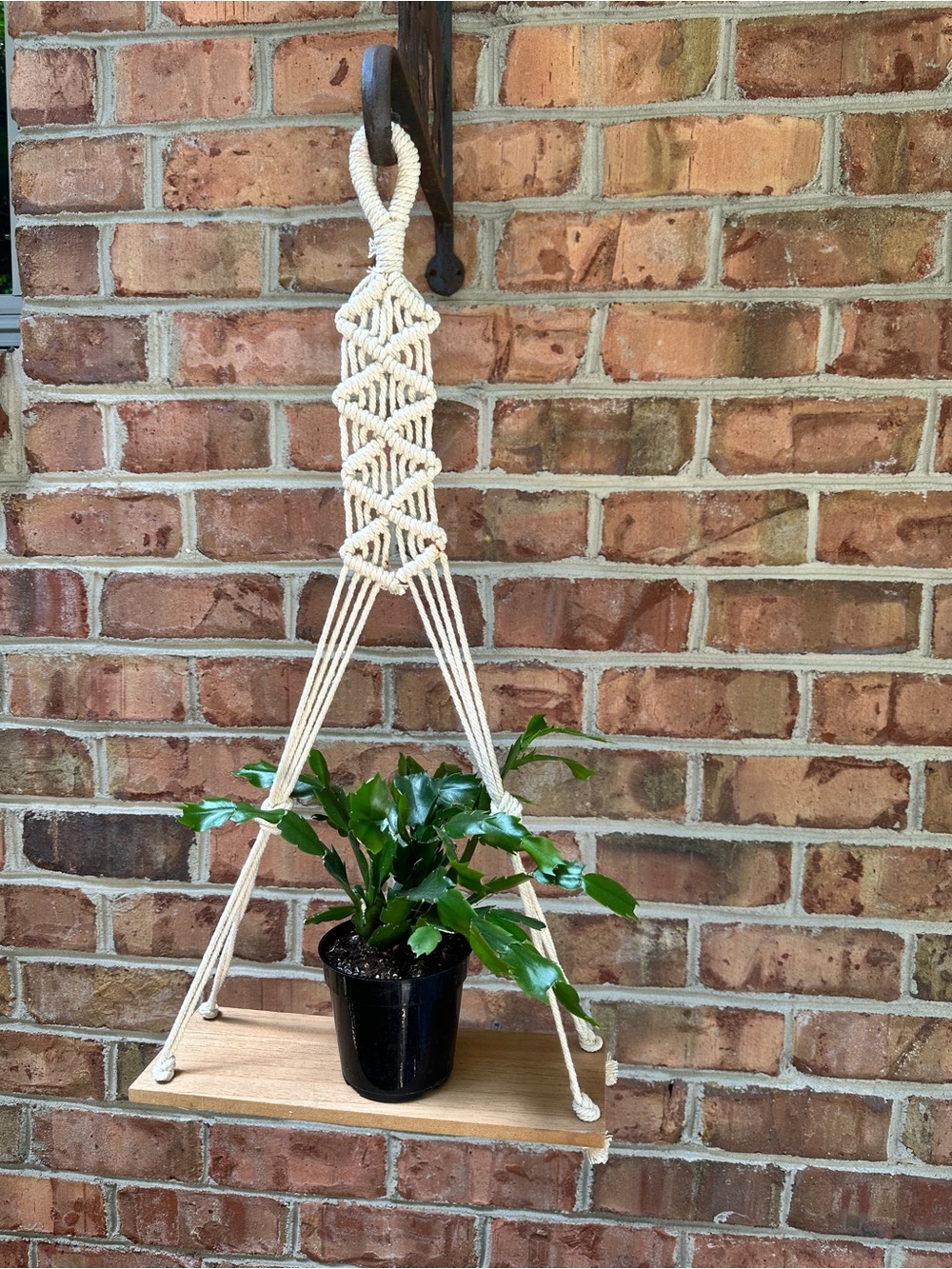Macrame Hanging Plant Shelf – Boho Wood Plant Hanger
